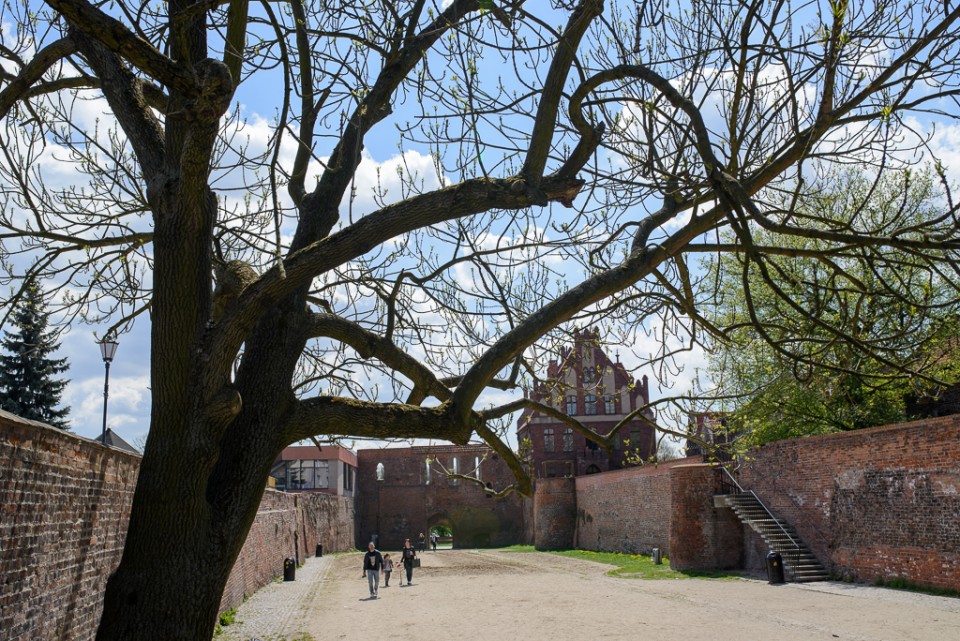 Toruń zamek krzyżacki 960x641 Majówka w Toruniu