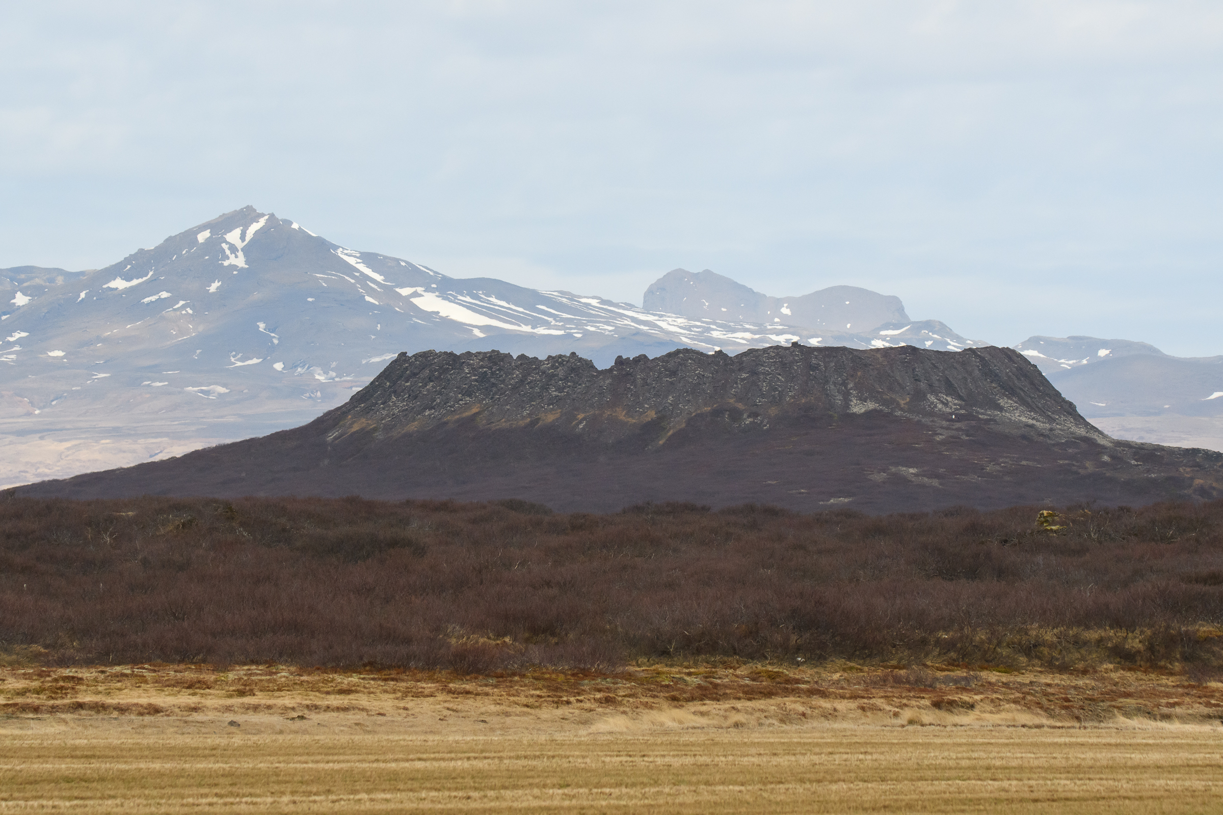 DSC 9997 Islandia   kraina lodu, ognia i ptaków